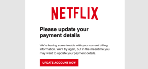 Netflix's payment details page.